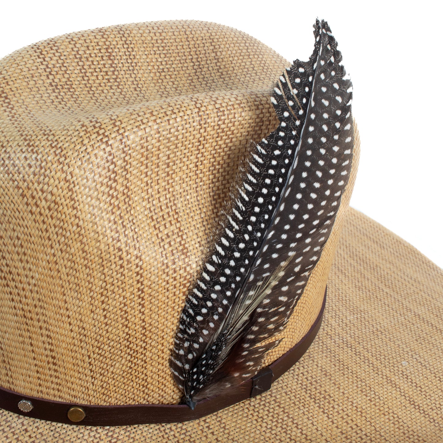 Sombrero Tong Hats Italy Chihuahua